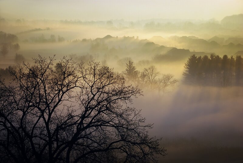 Foggy morning over a valley