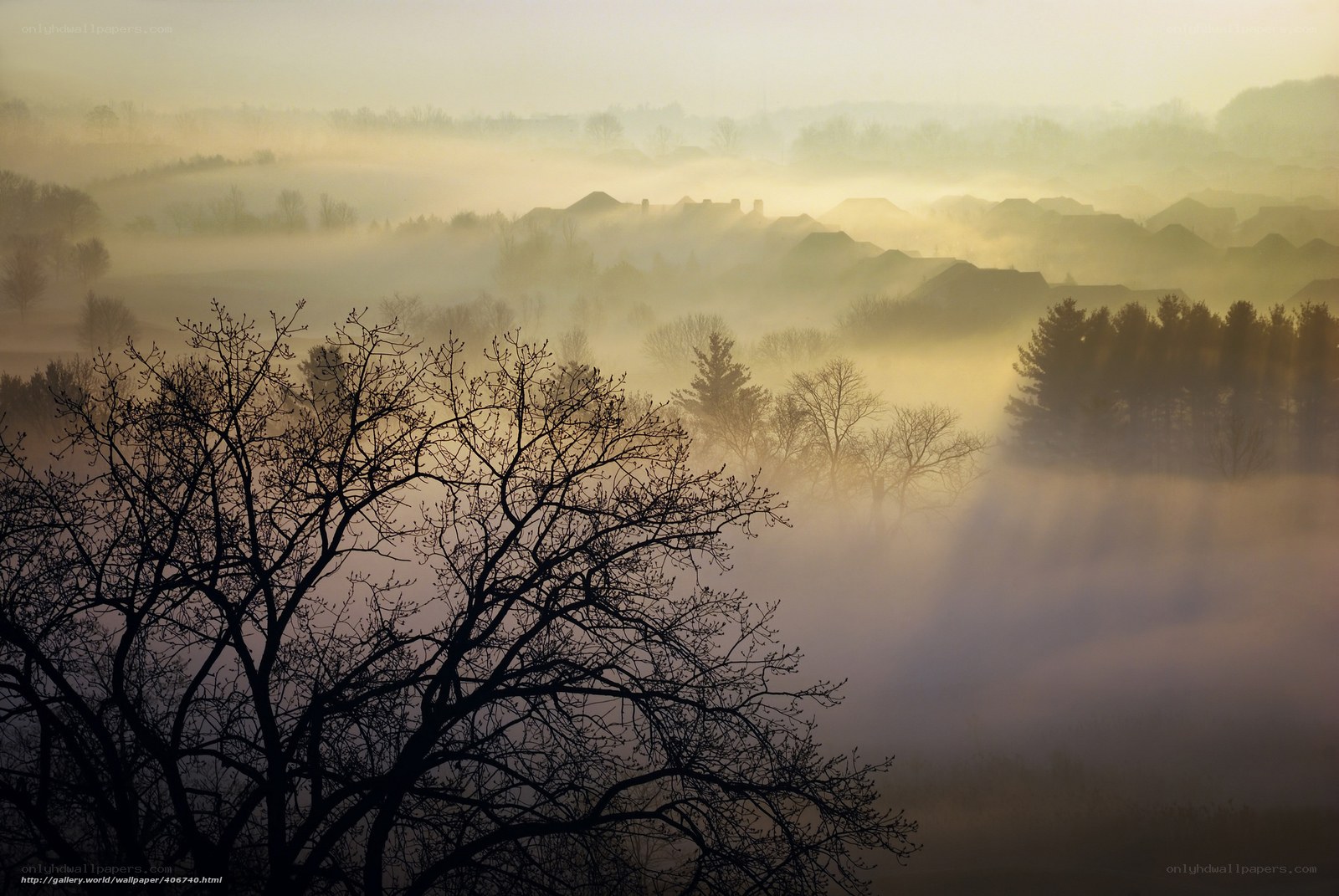 Foggy morning over a valley