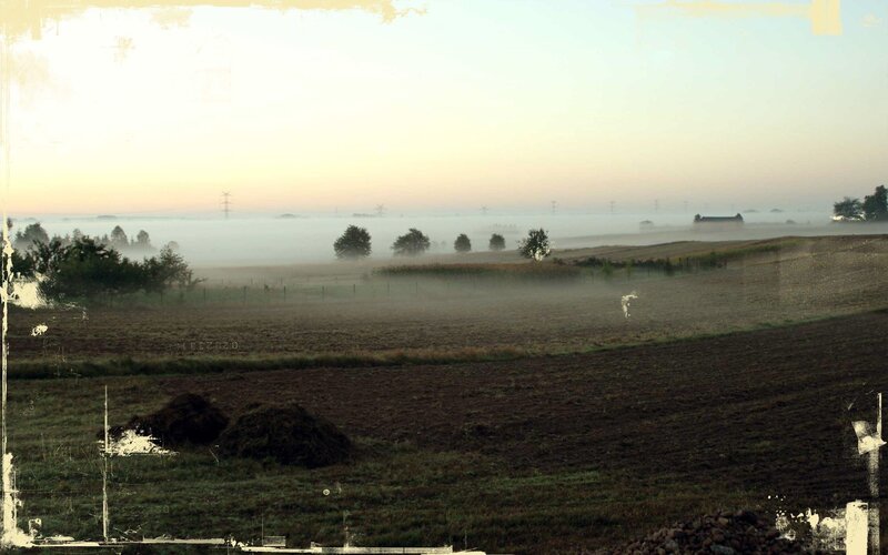 Foggy morning over farmland