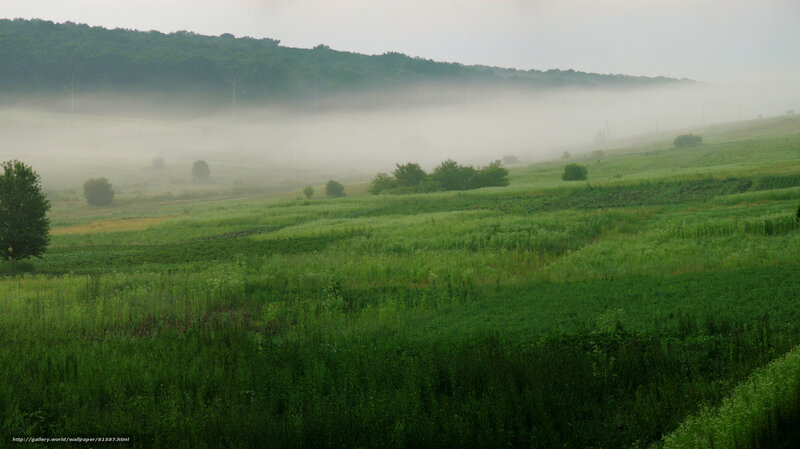 Foggy morning over green fields