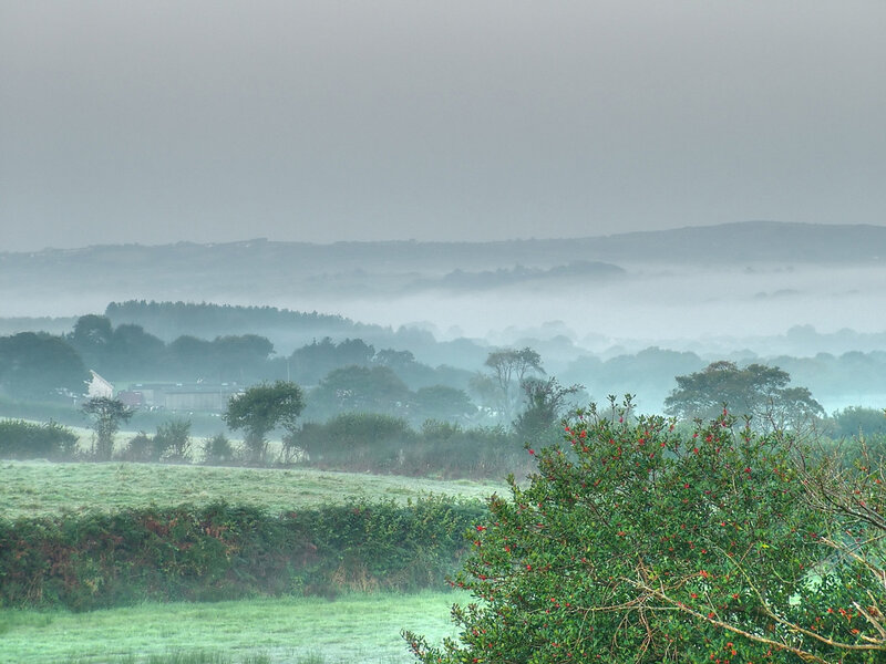foggy morning over rolling hills