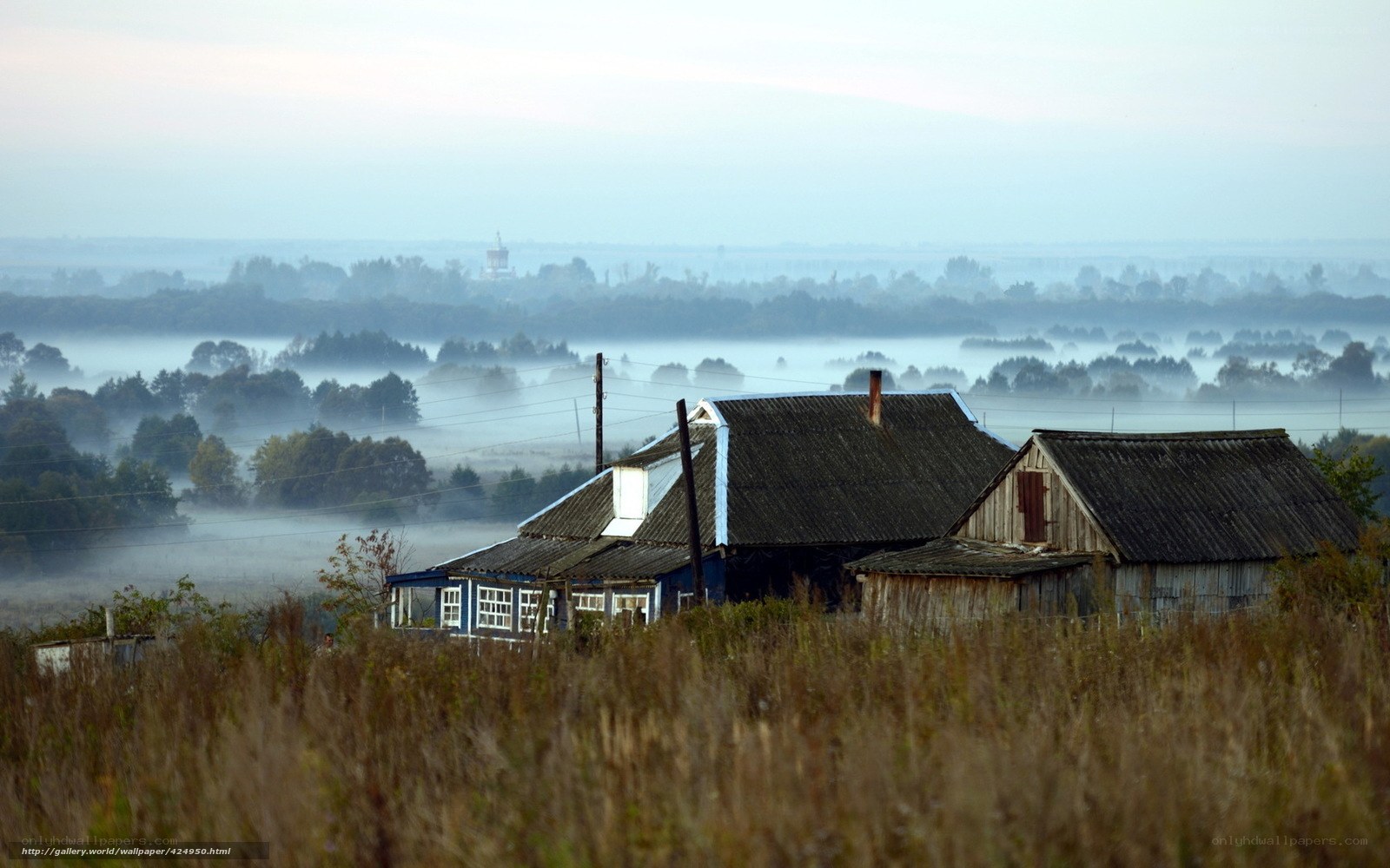 Foggy morning over rural houses