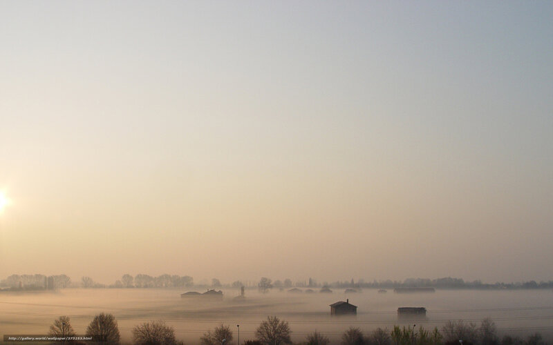 Foggy morning over rural landscape