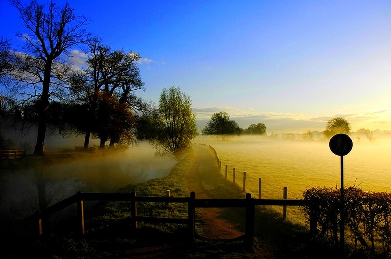 Foggy morning path at sunrise