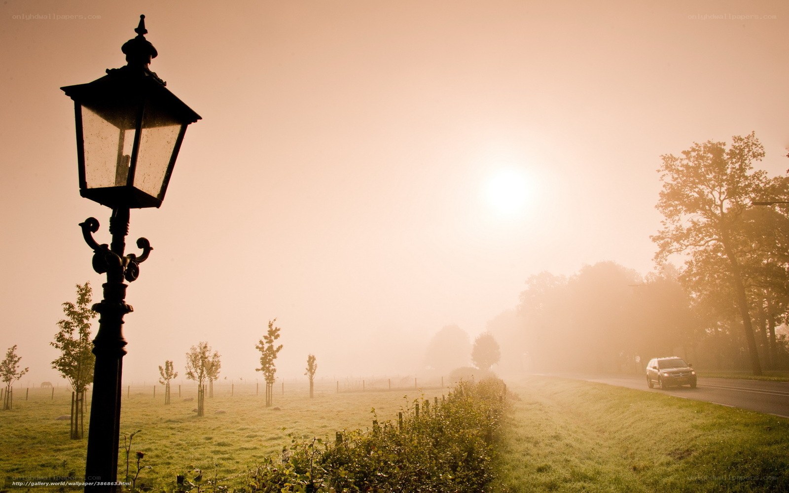 Foggy morning with street lamp