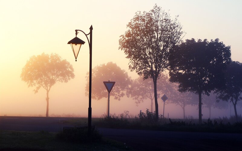 Foggy morning with street lamp