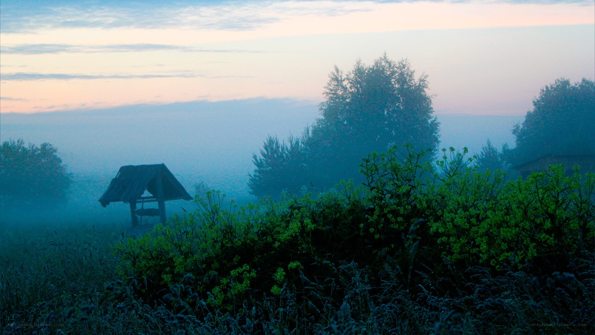 Foggy morning with well