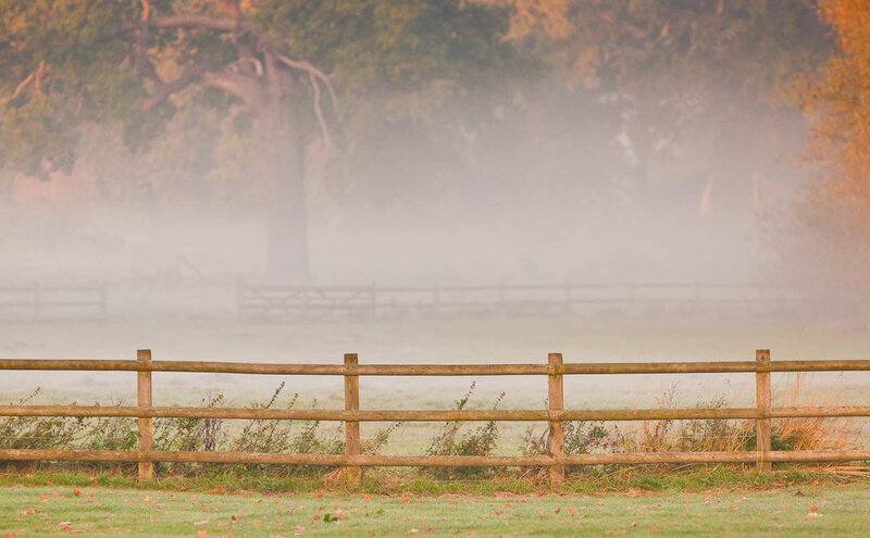 Foggy morning with wooden fence