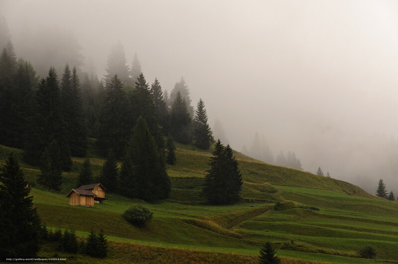 Foggy mountain cabin