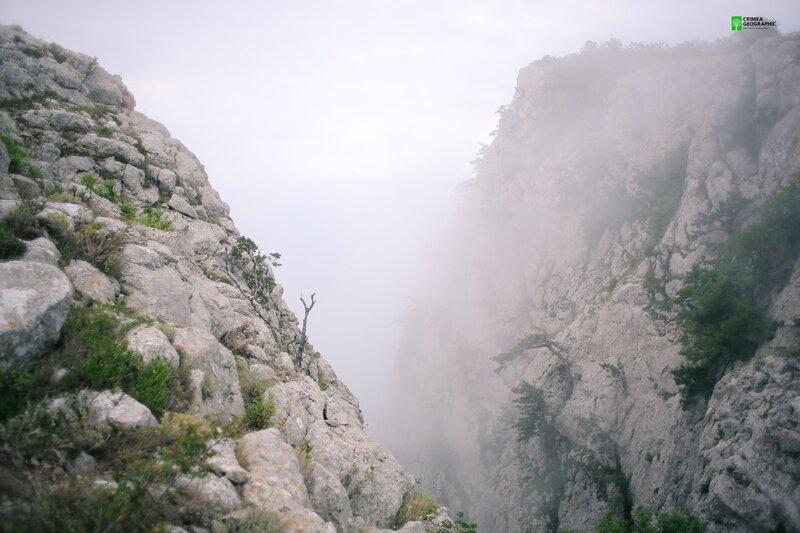 Foggy Mountain Canyon
