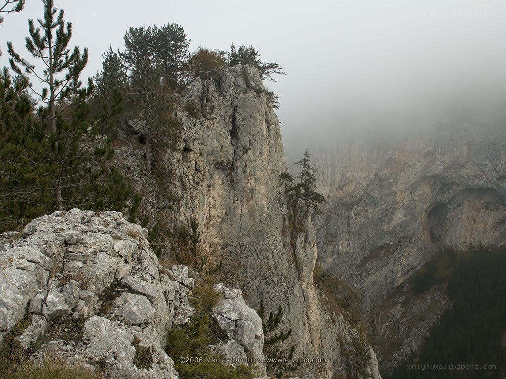 Foggy mountain cliff