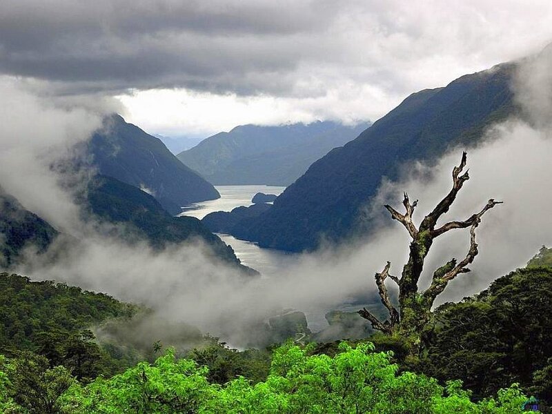 Foggy Mountain Fjord — Green