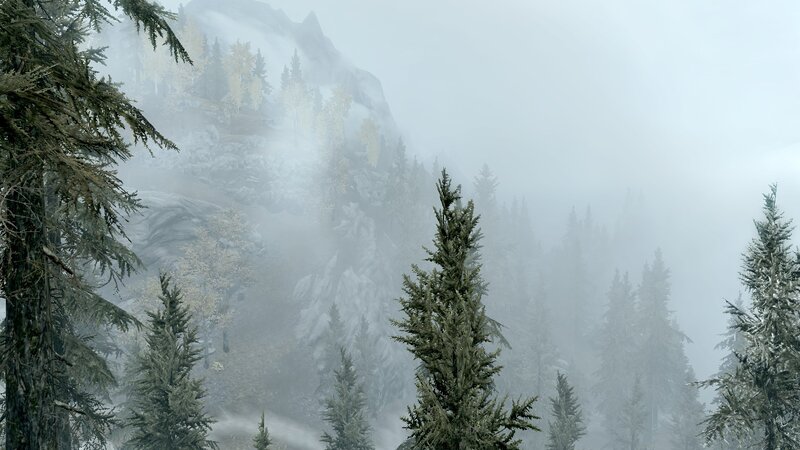 foggy mountain forest