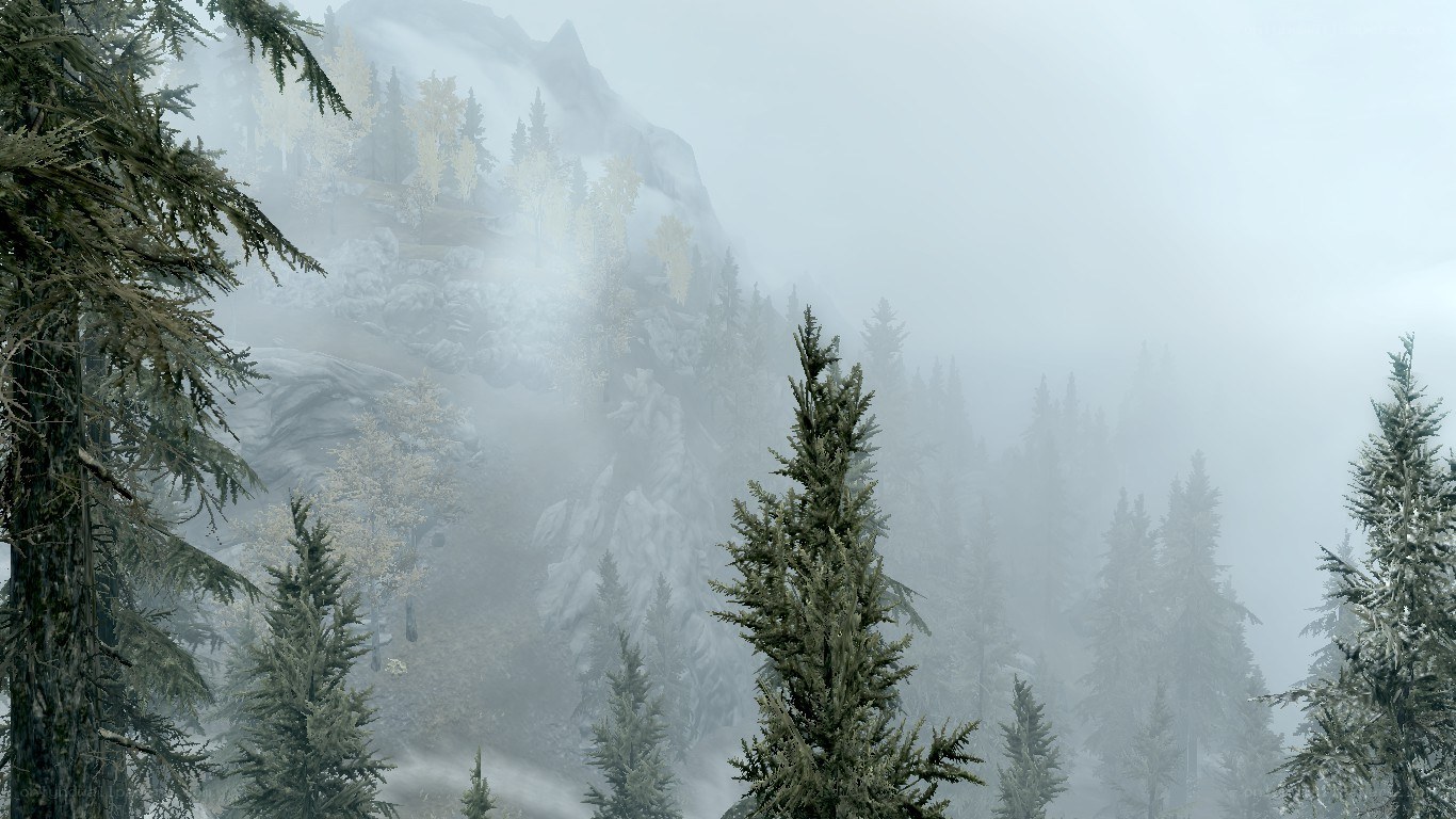 foggy mountain forest