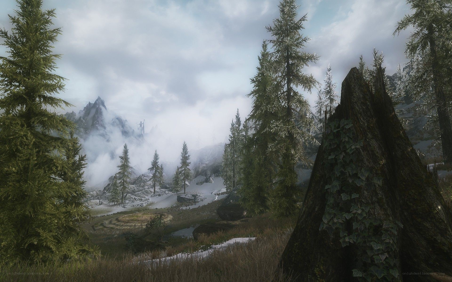 foggy mountain forest landscape