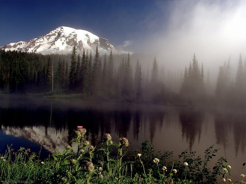 Foggy mountain lake at dawn