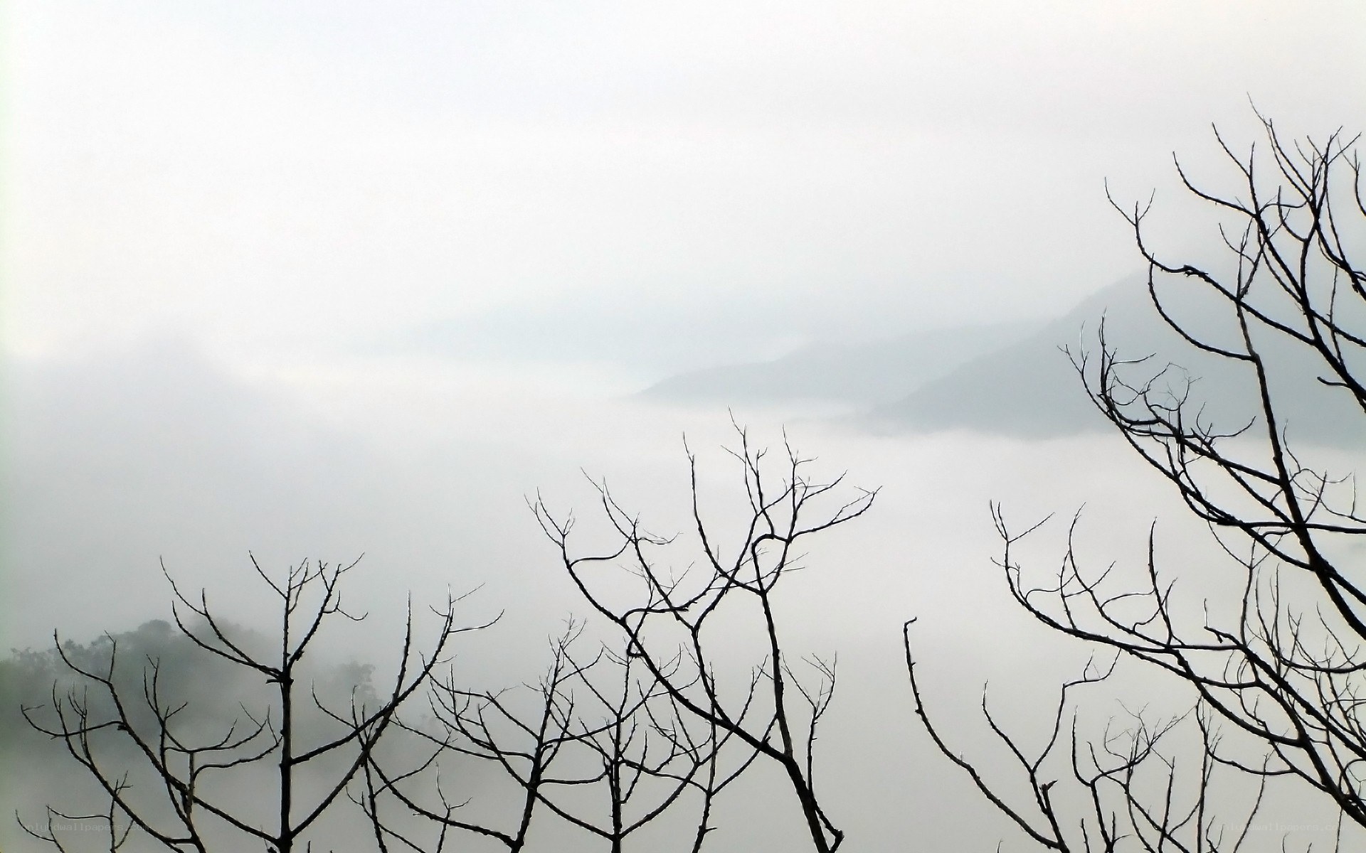 Foggy mountain landscape