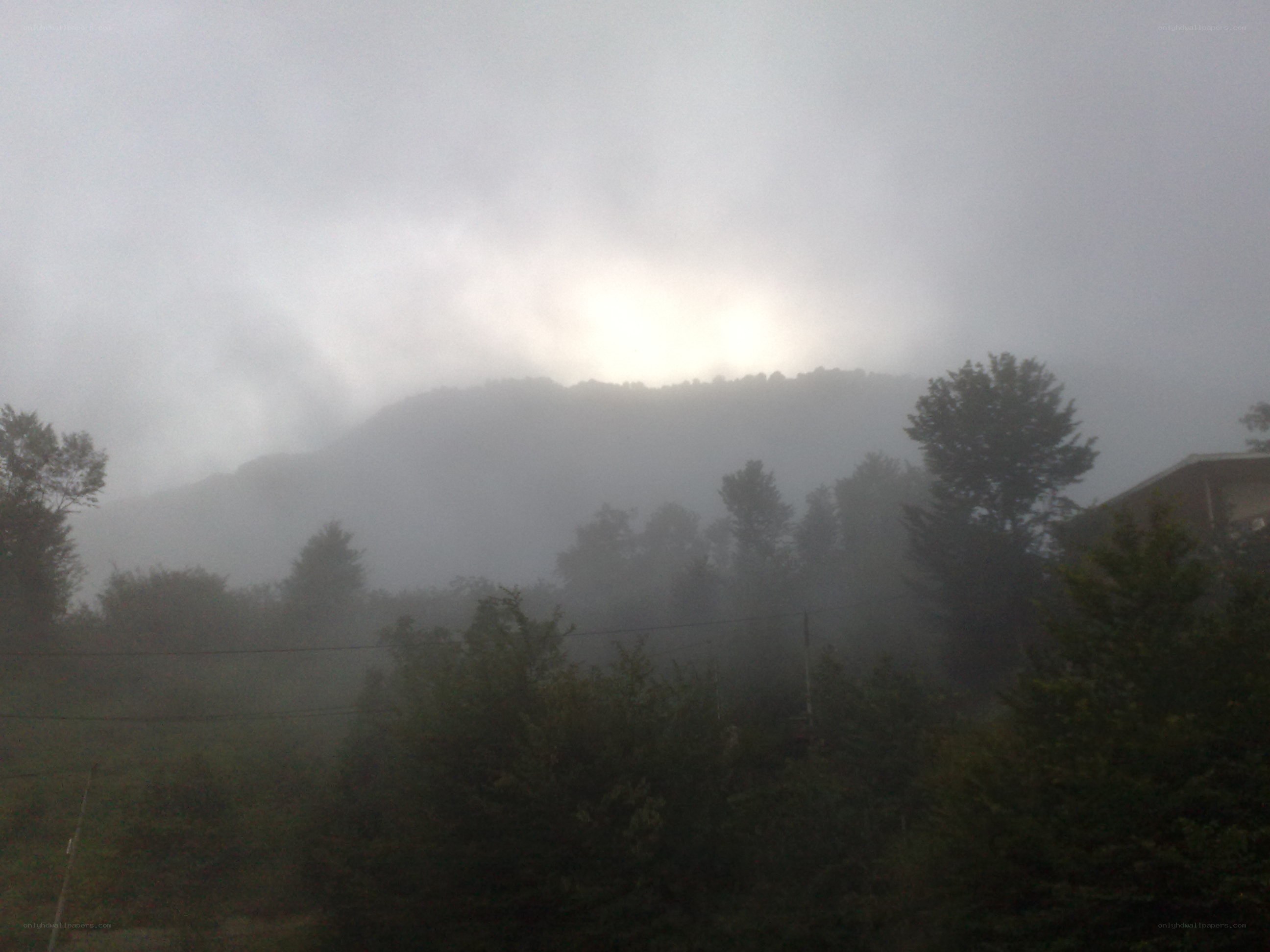 Foggy mountain landscape