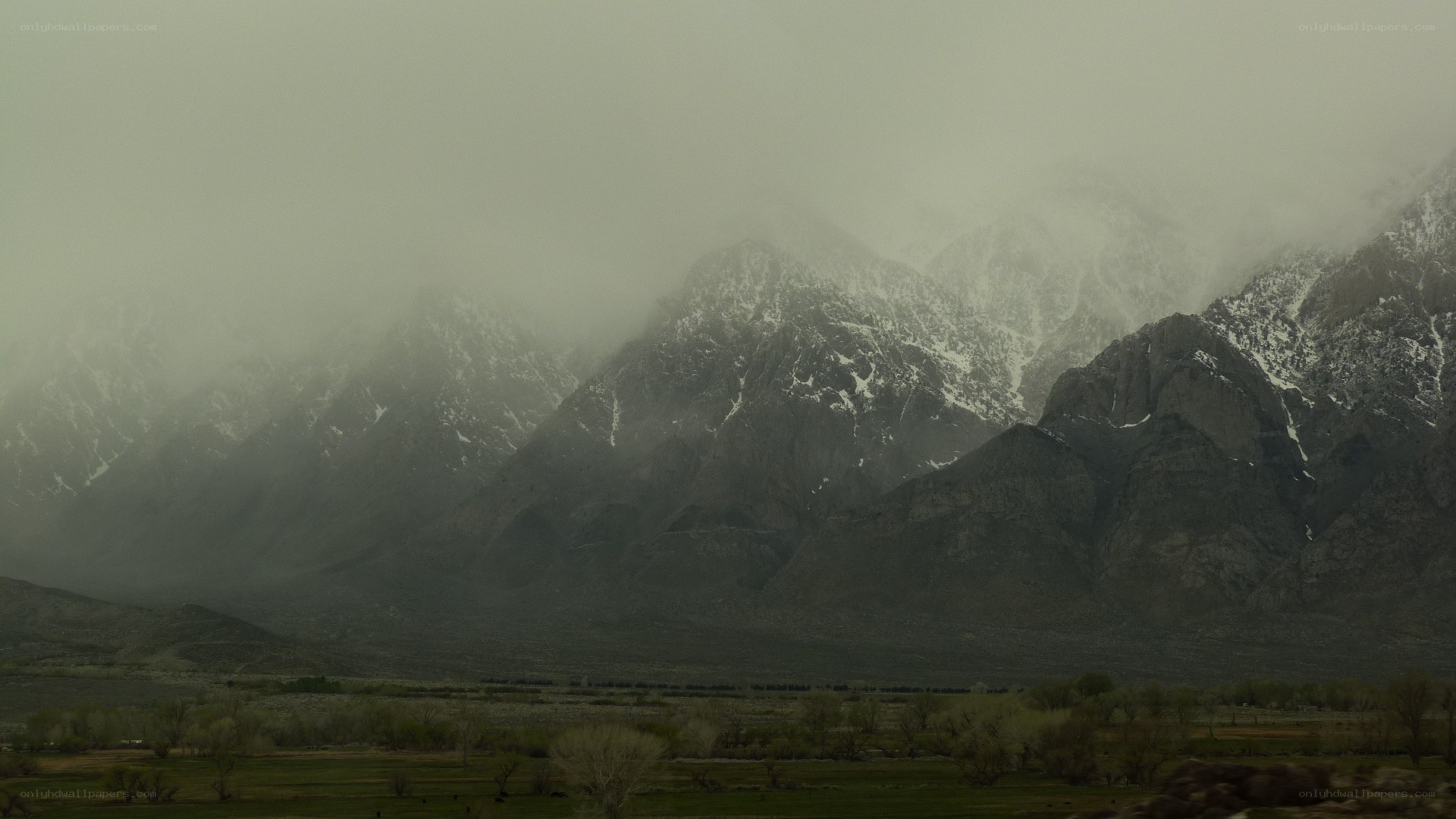 foggy mountain landscape