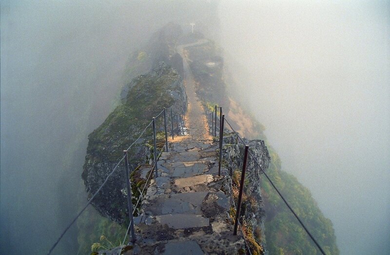 Foggy mountain path