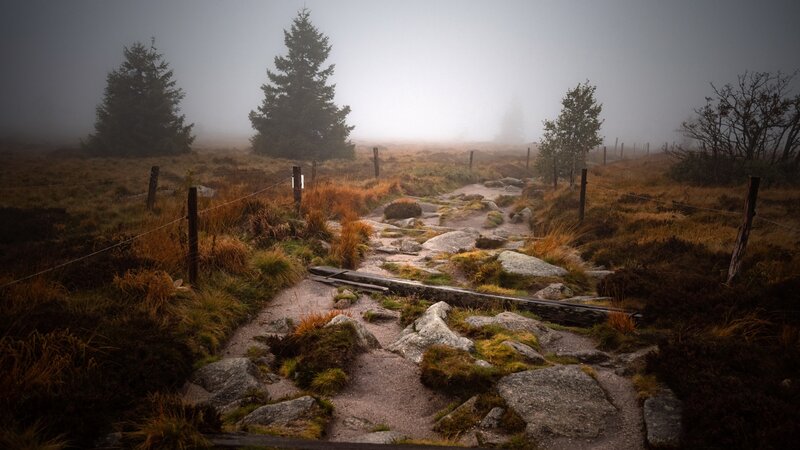 Foggy Mountain Path — Gray, Misty
