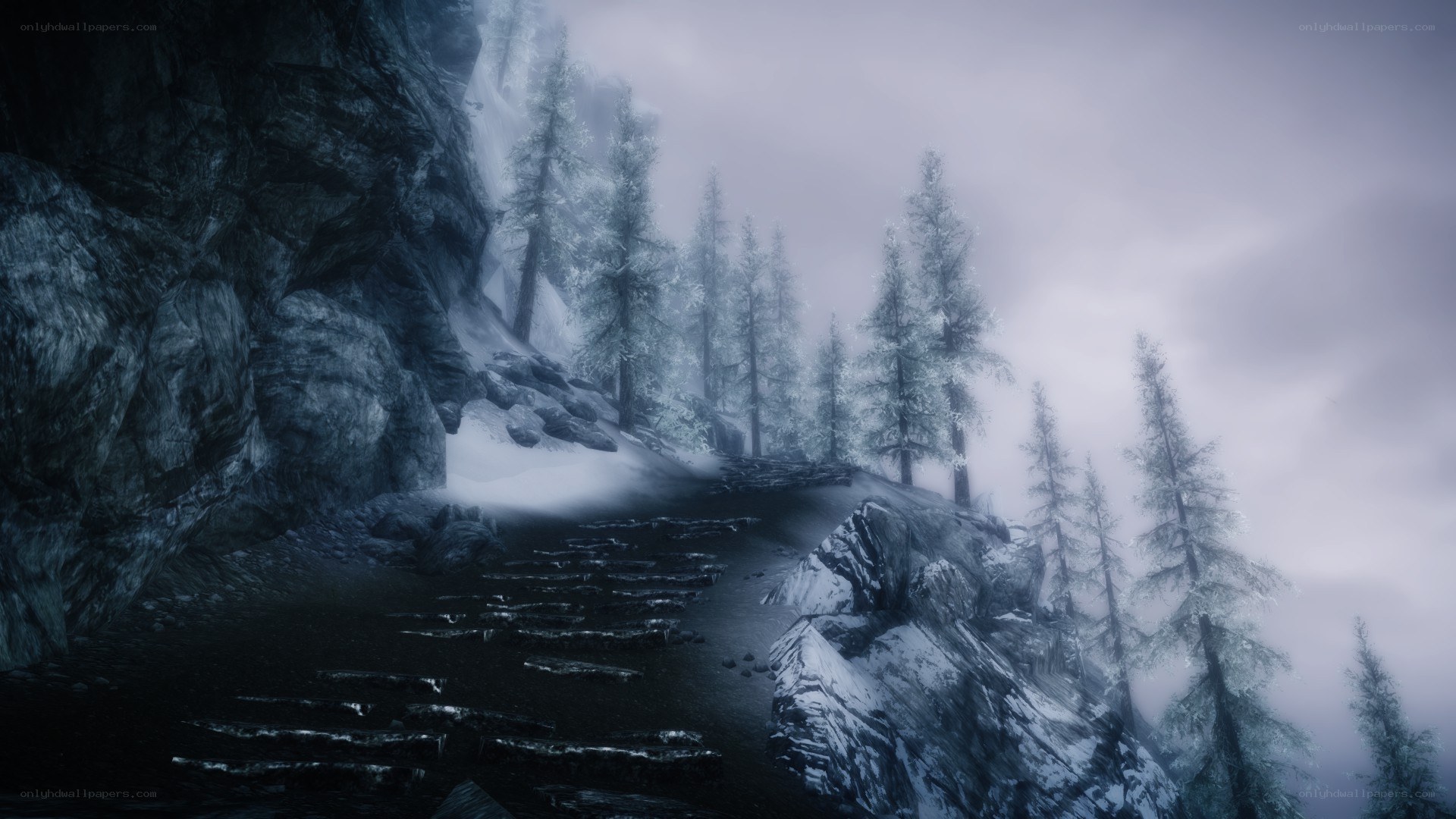foggy mountain path