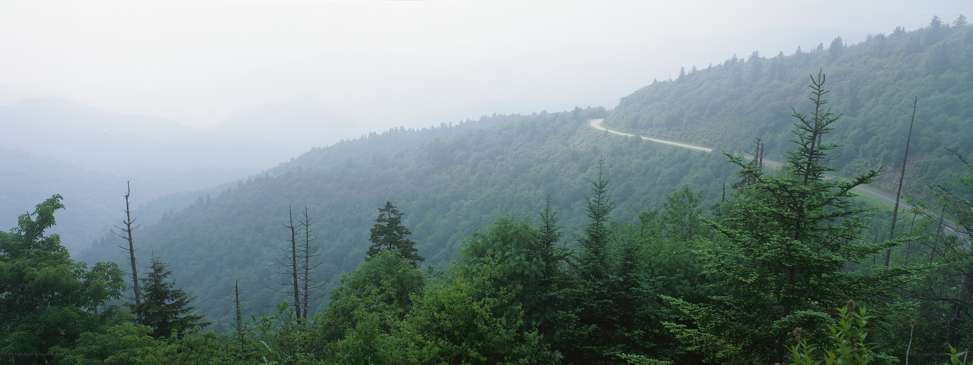 foggy mountain road landscape