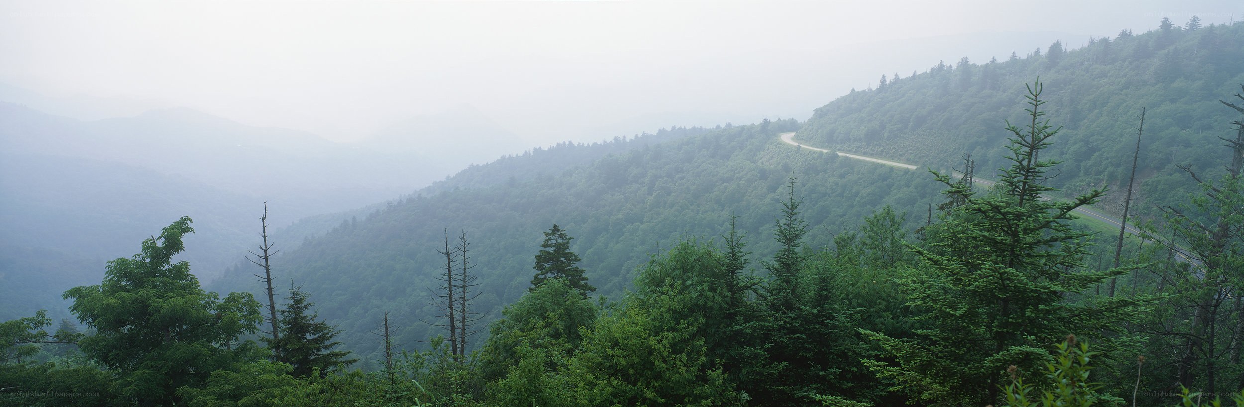 foggy mountain road landscape