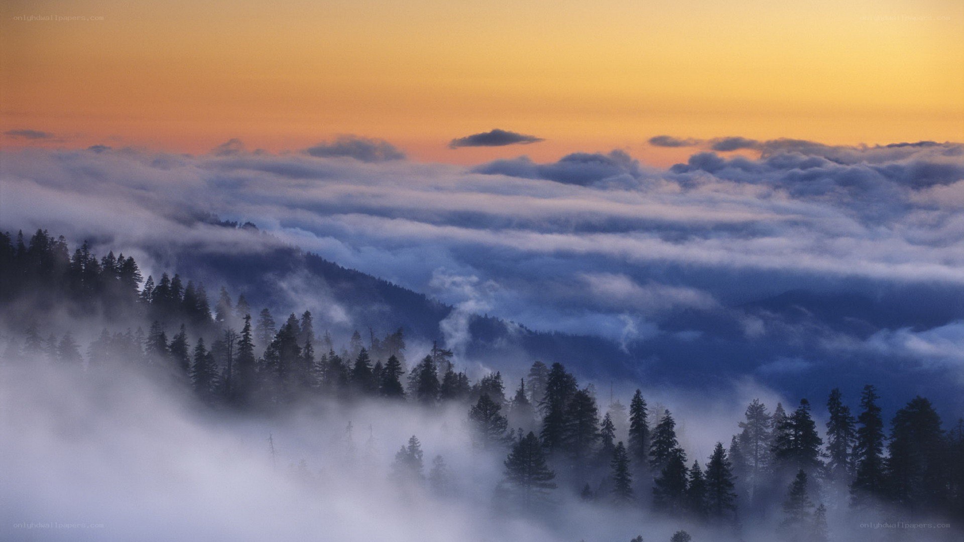 Foggy mountain sunset
