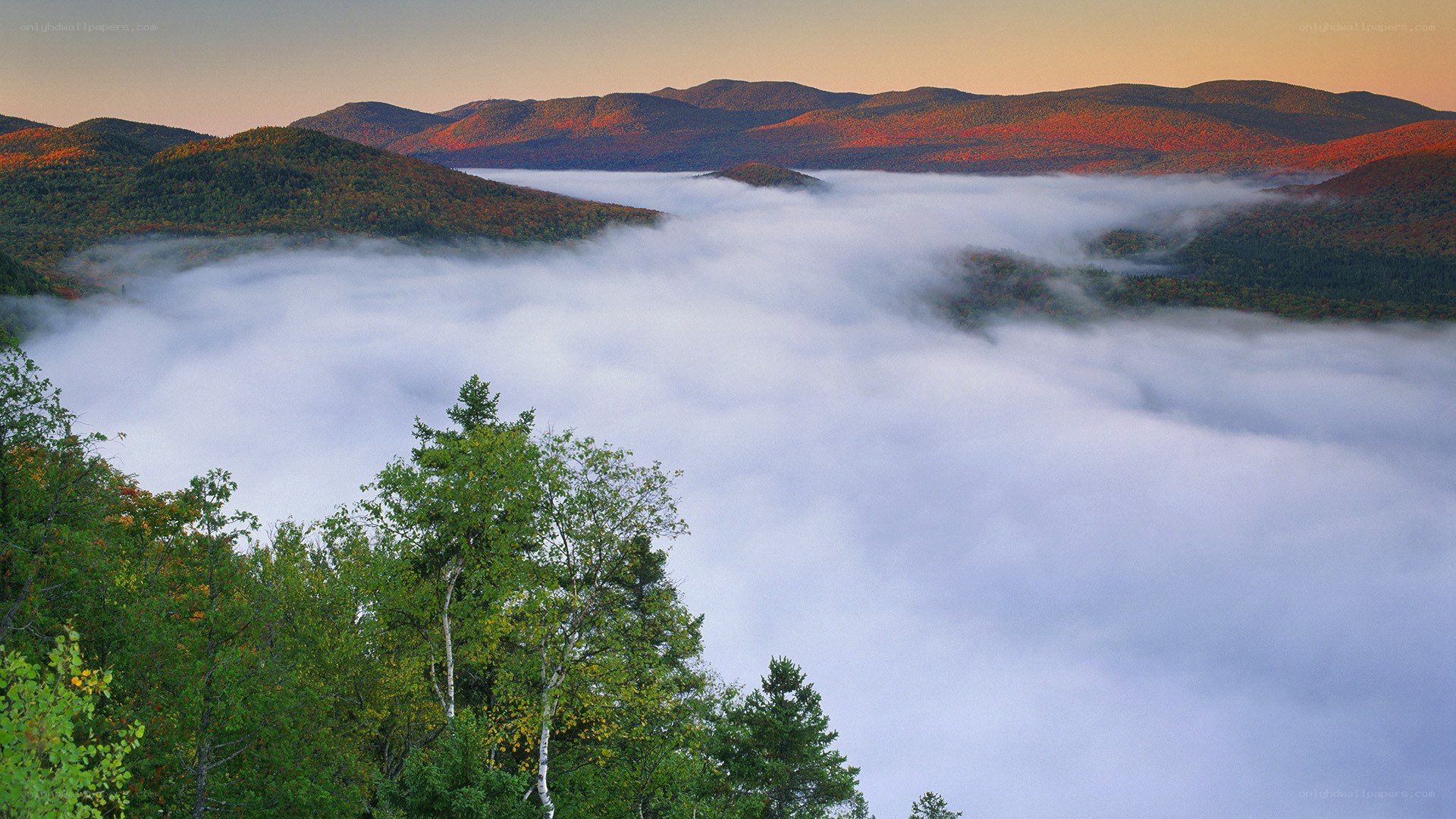 Foggy mountain valley at sunrise