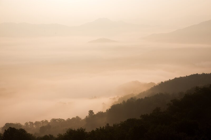 Foggy Mountain Valley — Brown, Serene