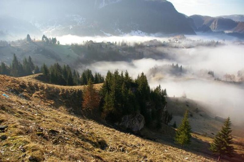 Foggy Mountain Valley — Brown