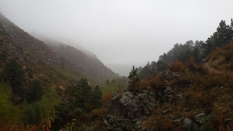 Foggy Mountain Valley — Gray, Misty, Autumn