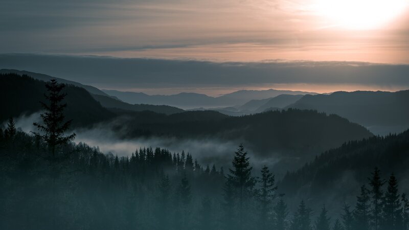 Foggy Mountain Valley — Gray, Serene