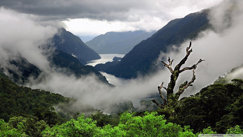 Foggy Mountain Valley — Green, Dramatic