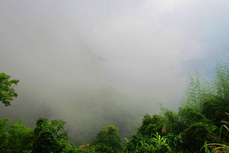 Foggy Mountain Valley — Green, Misty