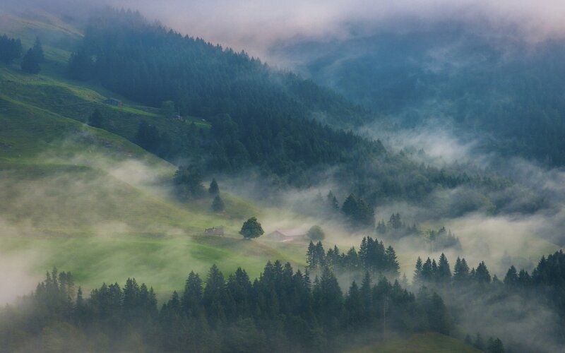 Foggy Mountain Valley — Green, Serene, Morning, Photograph, Forests