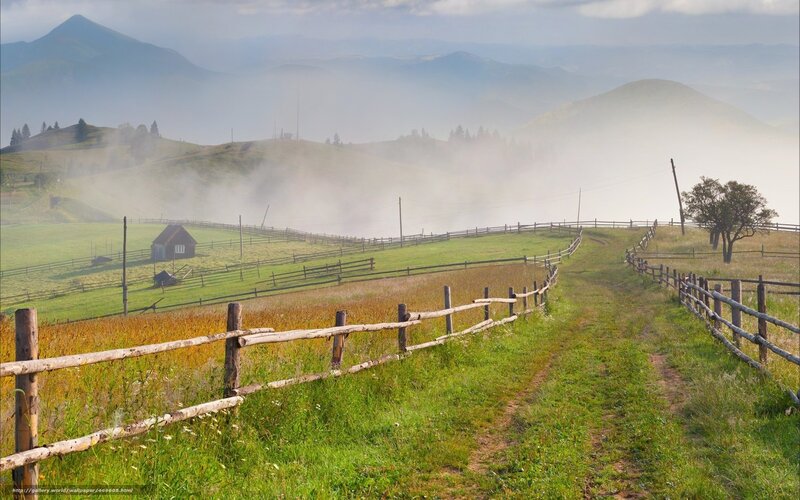 Foggy Mountain Valley — Green, Serene, Morning