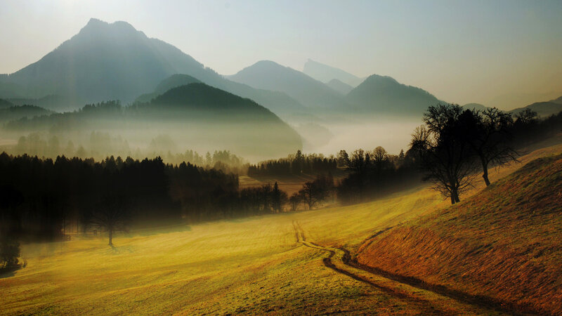 Foggy Mountain Valley — Green, Serene