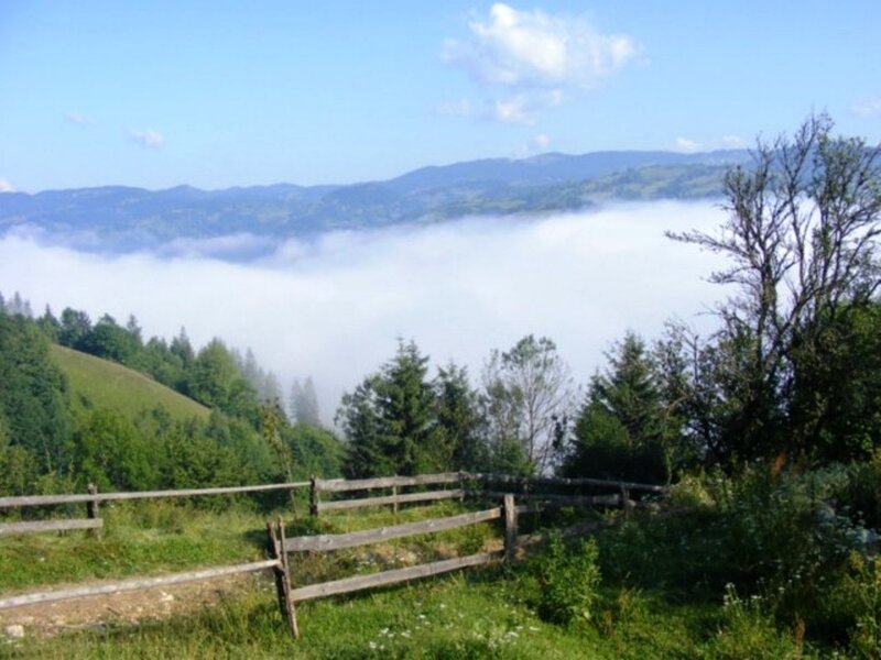Foggy Mountain Valley — Green