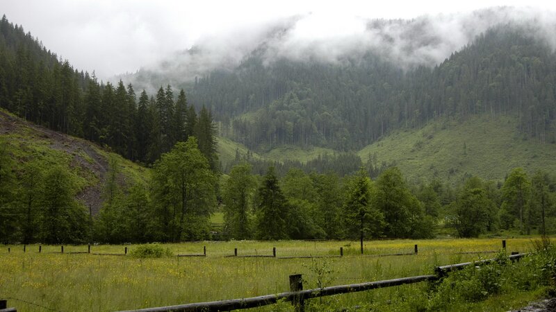 foggy mountain valley landscape