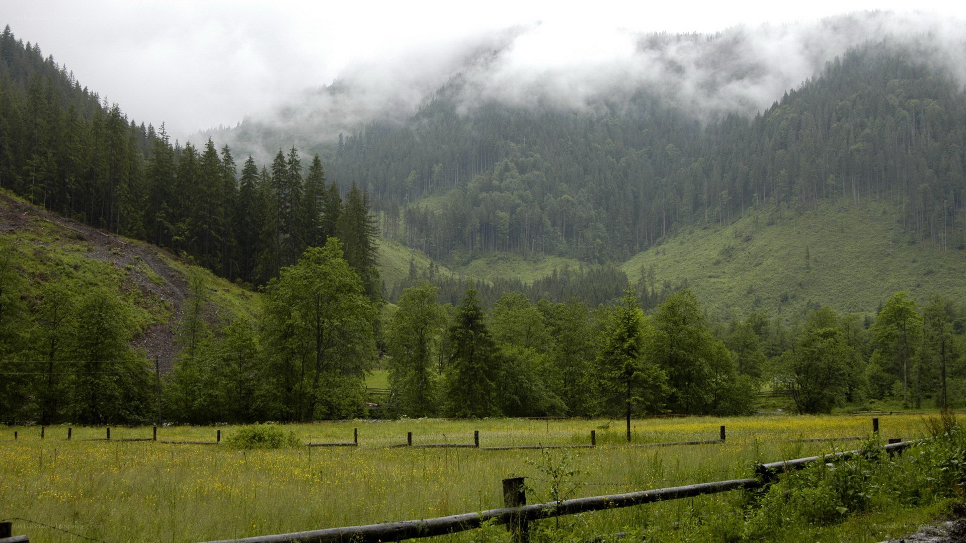 foggy mountain valley landscape