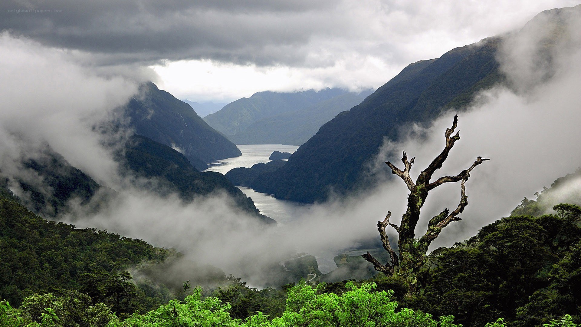 foggy mountain valley with lake