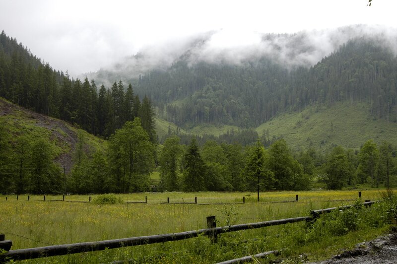 foggy mountain valley with meadow