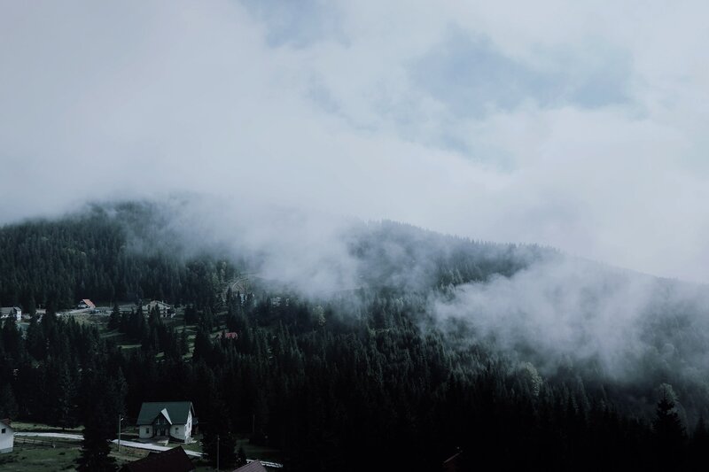 Foggy Mountain Village — Gray