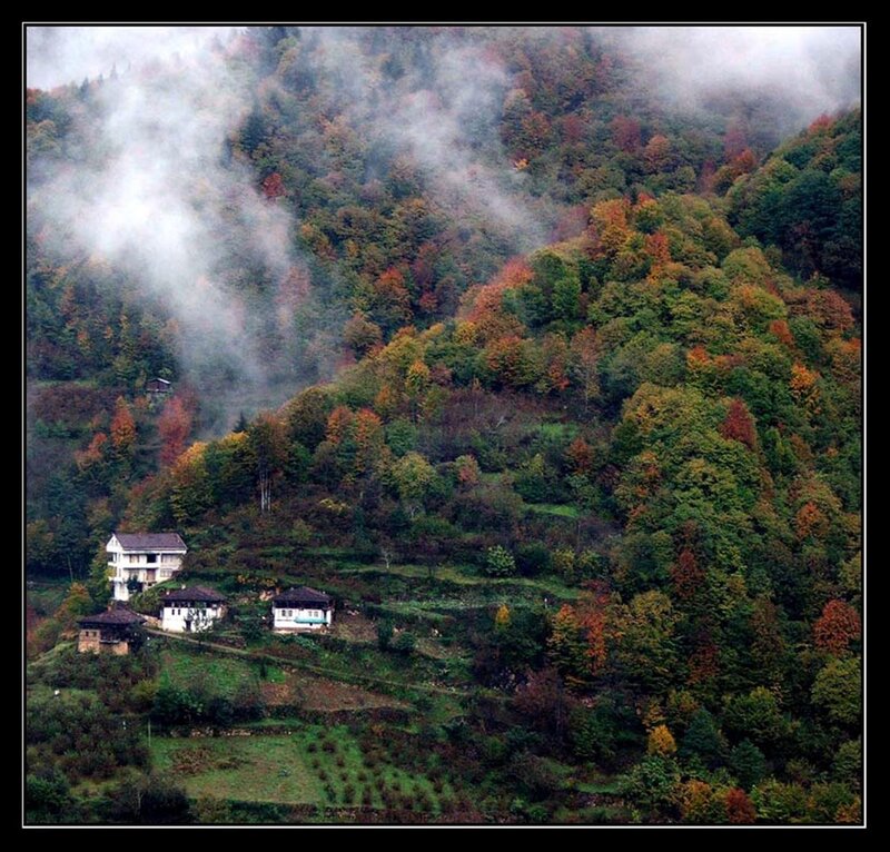 Foggy mountain village in autumn