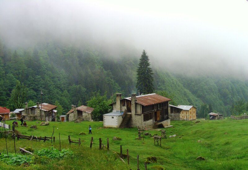 Foggy mountain village scene