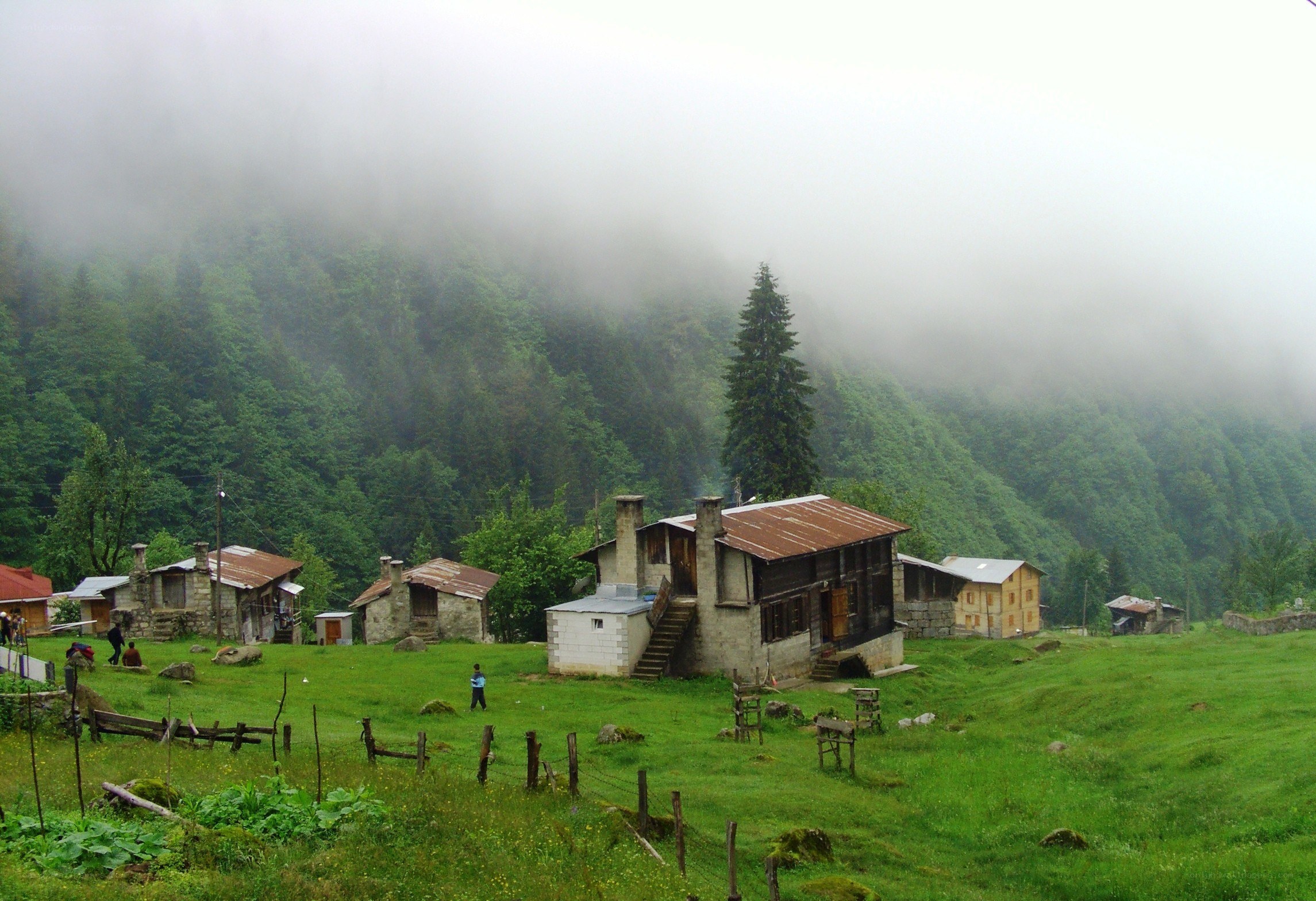 Foggy mountain village scene