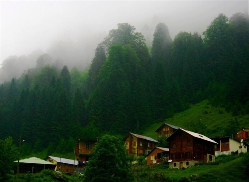 Foggy mountain village with wooden houses