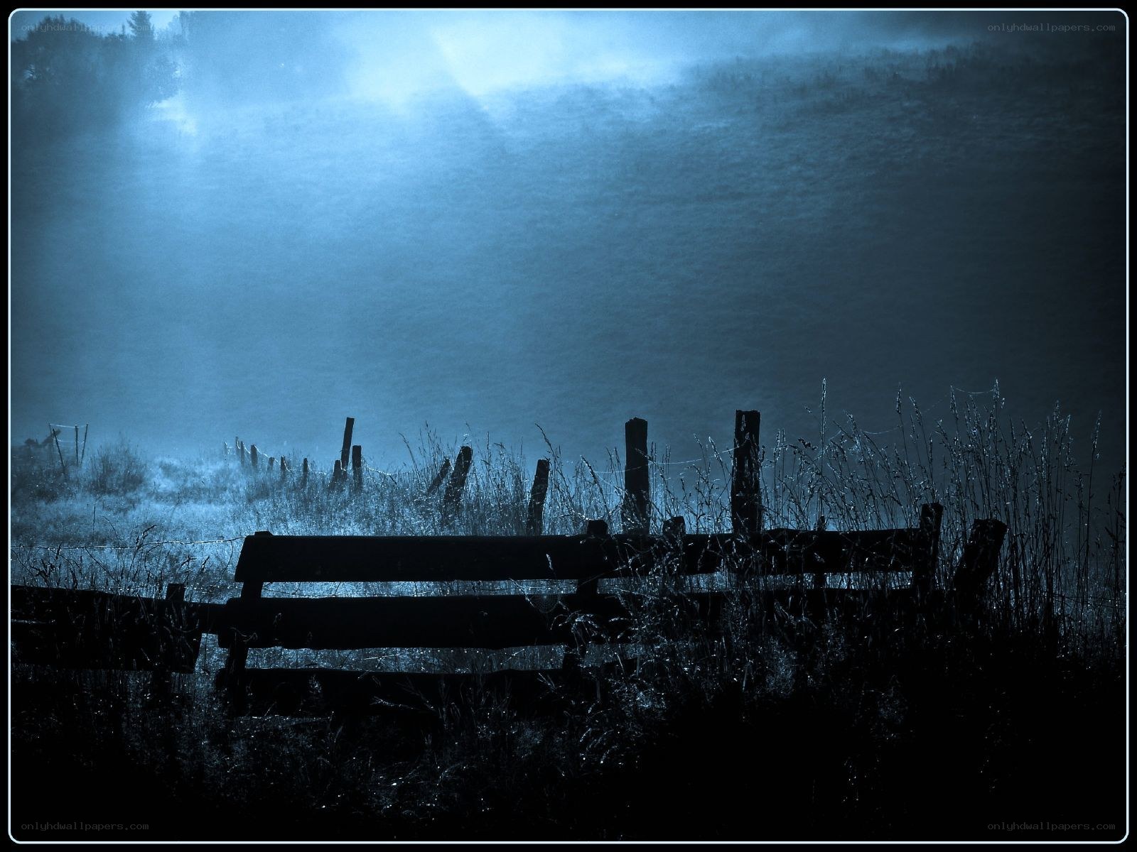 Foggy night by the fence